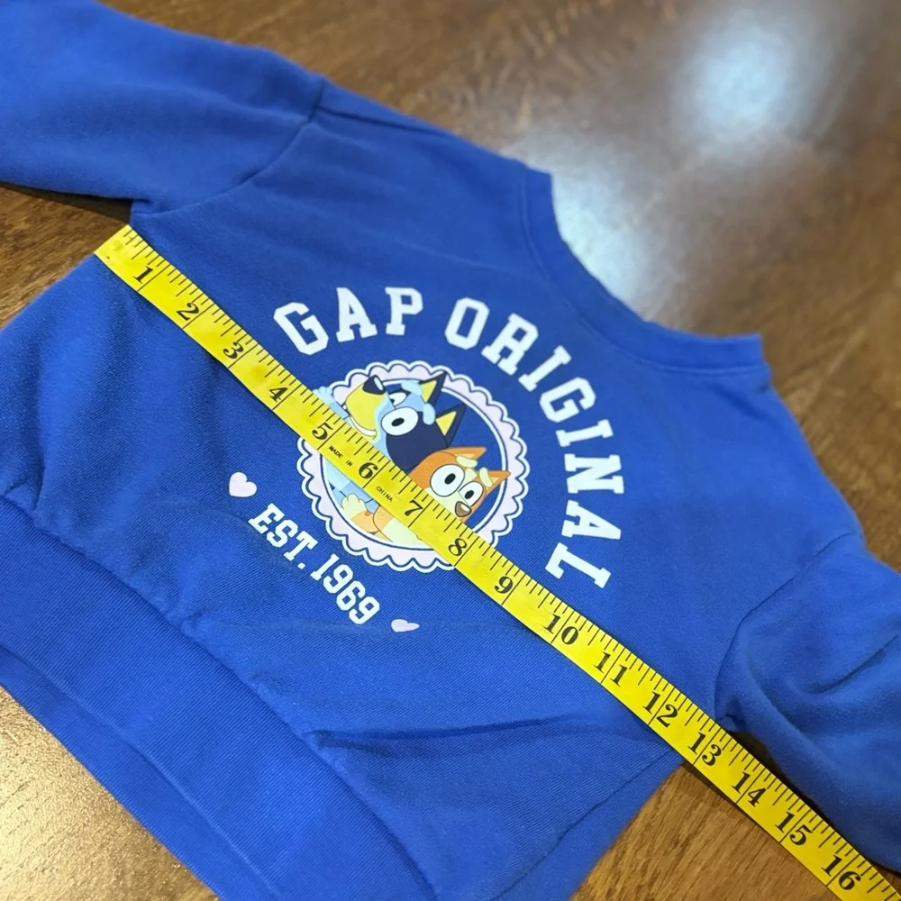 Baby GAP Bluey Sweatshirt – Size 3T
